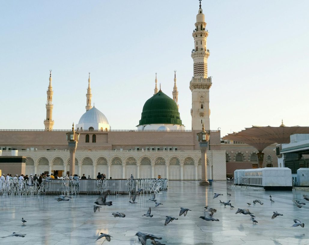 pexels-saad-alkot-17864312